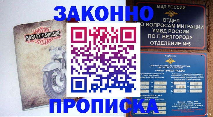 прописка для школы в Сегеже